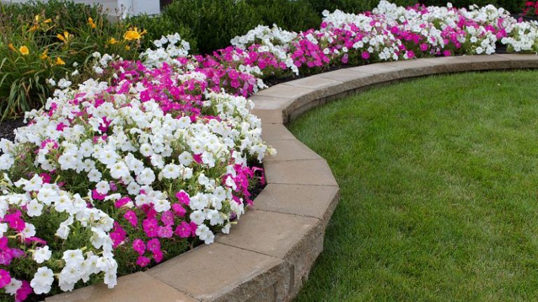 Hardscaping vs. Softscaping: What You Should Know