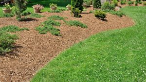 mulch installation